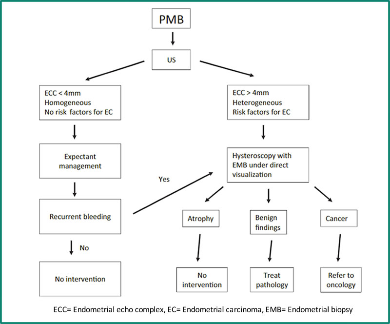 ECC= Endometrial echo complex, EC= Endometrial carcinoma, EMB= Endometrial biopsy