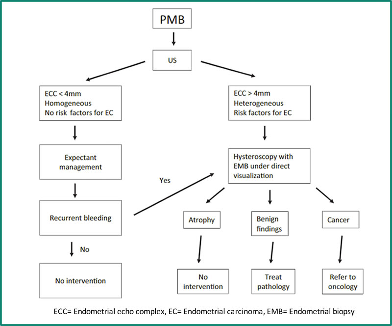 Bleeding – perimenopausal, postmenopausal and breakthrough bleeding on  MHT/HRT - Australasian Menopause Society