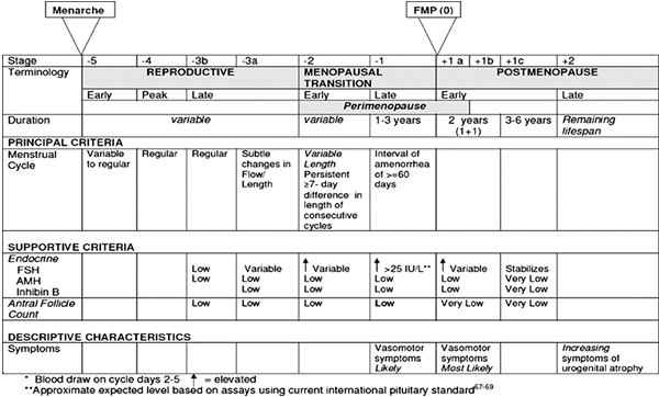 Perimenopause Hormone Chart