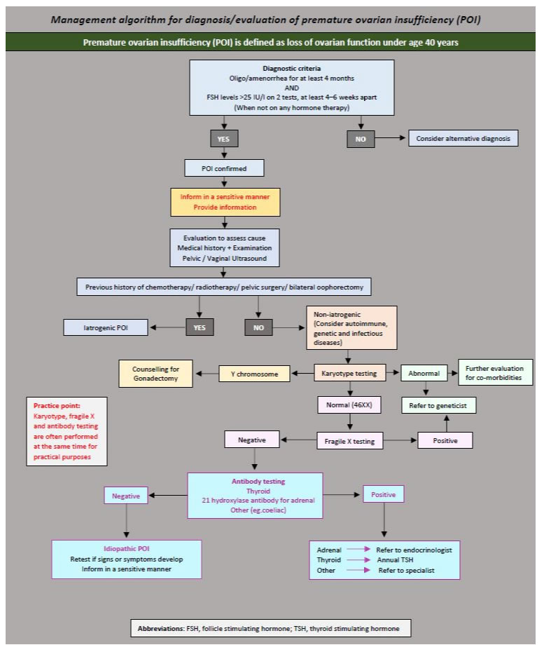 ht diagnosis algo large