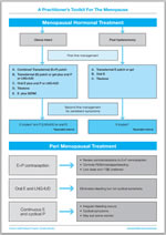 Toolkit for Management of the Menopause example3